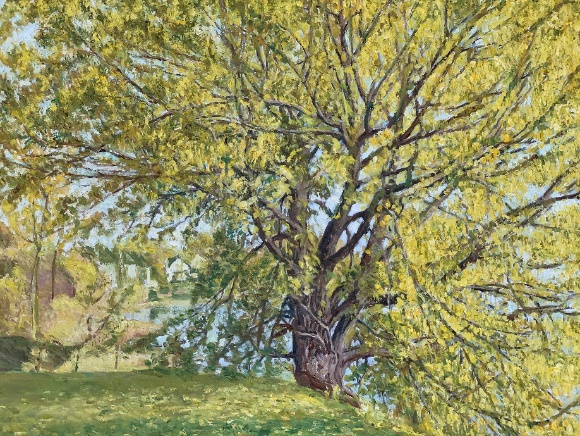 title_69e0badf7b67a6826967851776335583