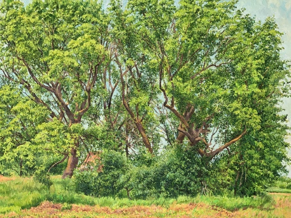 title_69e0badf7b68916584185361776335583